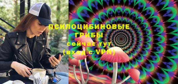 Альфа ПВП Белокуриха