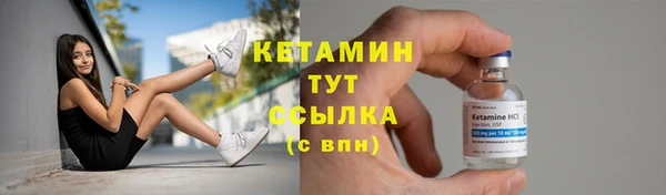прущие грибы Беломорск