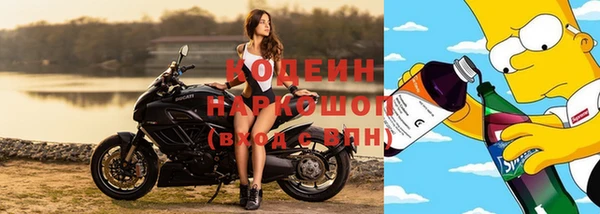 Альфа ПВП Белокуриха