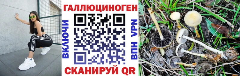Галлюциногенные грибы GOLDEN TEACHER omg сайт Учалы
